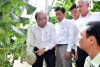 Thủ tướng Nguyễn Xuân Phúc thăm mô hình nông nghiệp công nghệ cao tại Bình Phước. Ảnh: VGP/Quang Hiếu.