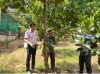 Mô hình vay vốn hỗ trợ tạo việc làm để chuyển đổi từ trồng điều sang trồng cây mít cho năng suất và hiệu quả cao tại ấp Tân Phú, xã Thuận Phú