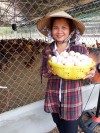 Hội viên nông dân Dương Thị Thin xã Minh Long, thị xã Chơn Thành thu hoạch trứng gà tại trại gà của gia đình