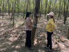 Người lao động tại thị trấn Tân Phú được vay vốn tín dụng ưu đãi để phát triển kinh tế gia đình
