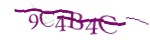 Mã bảo mật