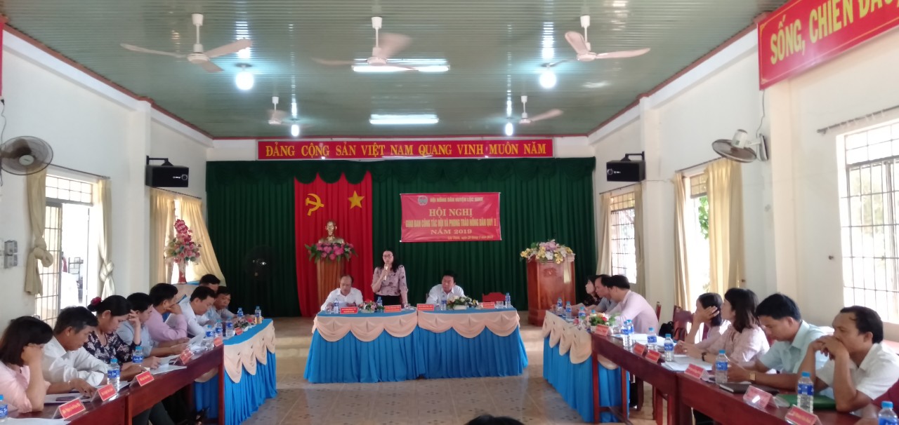 Đ/c Đào Thị Lanh - TUV, Chủ tịch HND tỉnh phát biểu chỉ đạo tại Hội nghị