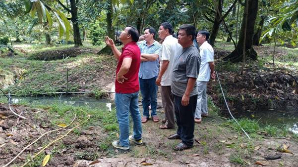 Các thành viên HTX trao đổi học tập kinh nghiệm tại vườn sâu riêng xã Long Bình