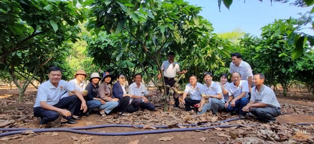 Đoàn tham quan mô hình trồng cao cao của hộ ông Nguyễn Minh Khoa - ấp Thanh Thiện, xã Thanh Lương