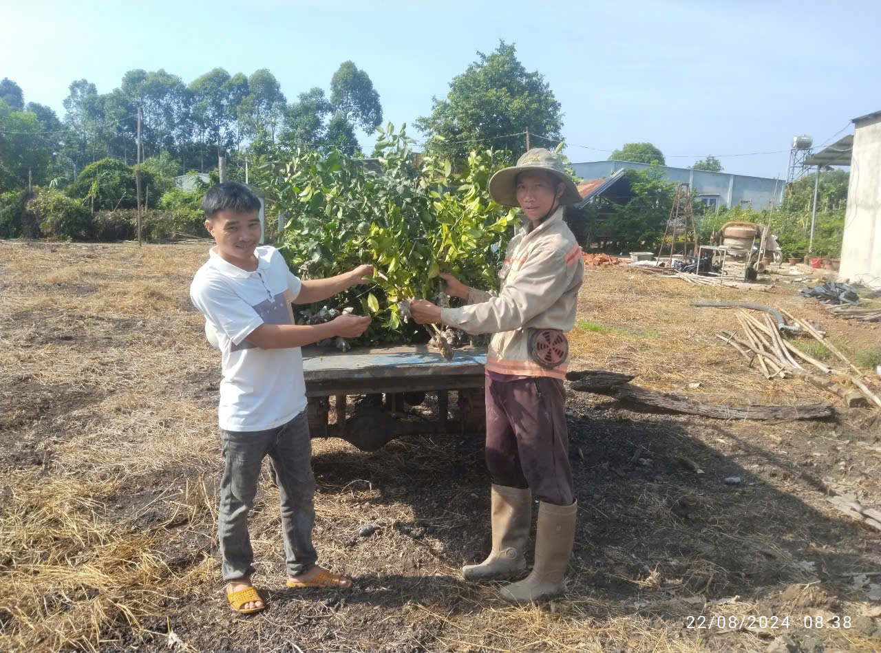 Hình ảnh Hội viên nông dân Võ Huy Dũng tặng cây giống cho các hộ đồng bào dân tộc