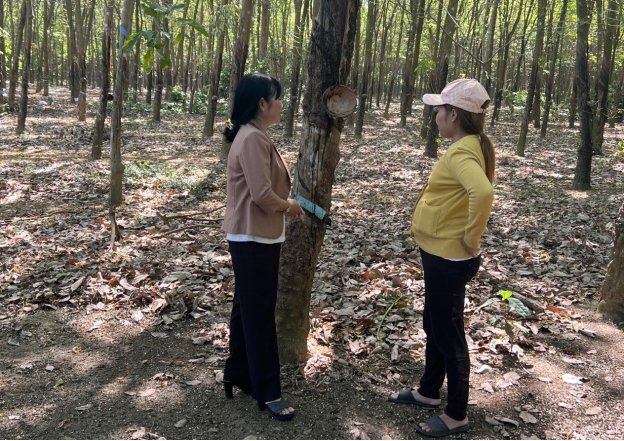 Nguồn vốn vay từ Chương trình hỗ trợ tạo việc làm đã giúp người lao động trên địa bàn huyện Đồng Phú có điều kiện phát triển sản xuất kinh doanh, nâng cao thu nhập