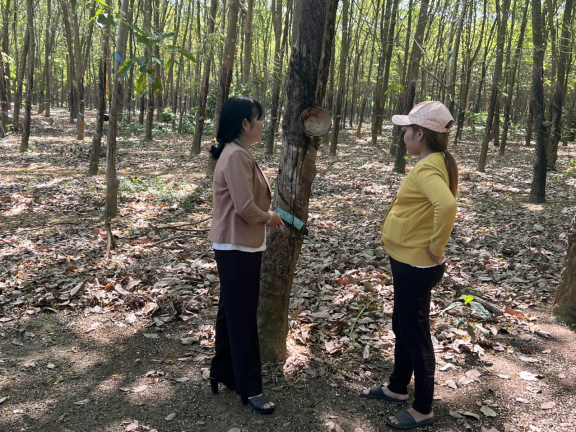 \"2025_05/tin_dung_chinh_sach_dong_phu_tuan508.png\"